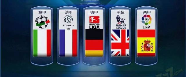 归化球员政 归化球员政